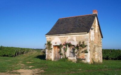 Concours Photos 2025…. le thème a été dévoilé !